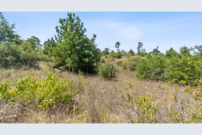 400 McAllister Road, Bastrop, TX 78602 - Photo 10