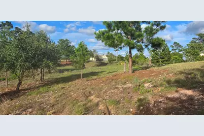400 McAllister Road, Bastrop, TX 78602 - Photo 4