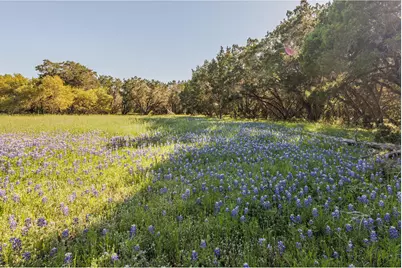 250 Caliche Road, Wimberley, TX 78676 - Photo 20