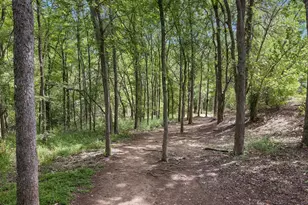 8317 Empress Blvd, Austin, TX 78745 - Photo 30