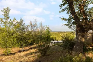 32045 Mirela Ann Rd, Dripping Springs, TX 78620 - Photo 26