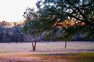 6731 E Fm 1123, Belton, TX 76513 - Photo 28