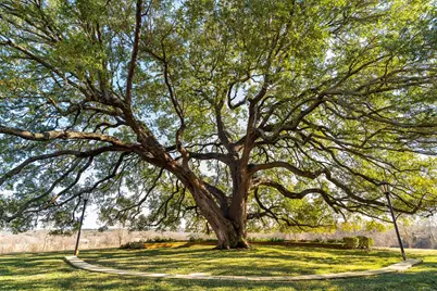 6731 E Fm 1123, Belton, TX 76513 - Photo 22