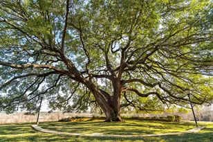6731 E Fm 1123, Belton, TX 76513 - Photo 22