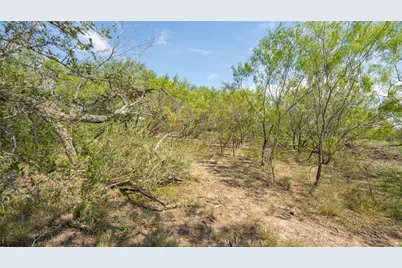 160 Brinley Mae Way, Lockhart, TX 78644 - Photo 6