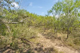 160 Brinley Mae Wy, Lockhart, TX 78644 - Photo 6