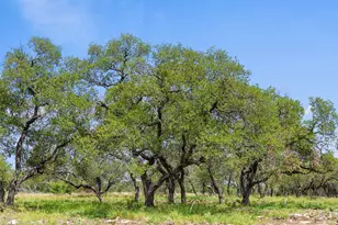 Lot 7 Pedernales Canyon Trail, Spicewood, TX 78669 - Photo 12