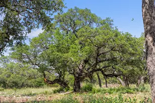 Lot 7 Pedernales Canyon Trail, Spicewood, TX 78669 - Photo 28
