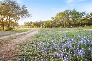 Lot 7 Pedernales Canyon Trail, Spicewood, TX 78669 - Photo 18