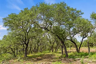 Lot 7 Pedernales Canyon Trail, Spicewood, TX 78669 - Photo 24