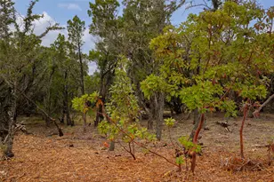 2900 Stagecoach Ranch Loop, Dripping Springs, TX 78620 - Photo 1