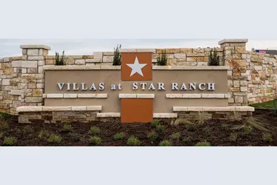 225 Danablu Drive, Hutto, TX 78634 - Photo 38