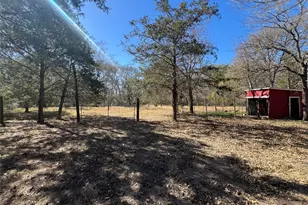 665 Wilson Rd, Red Rock, TX 78662 - Photo 8