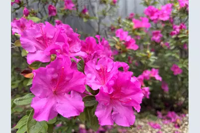 2210 Onion Creek Parkway #1404, Austin, TX 78747 - Photo 24