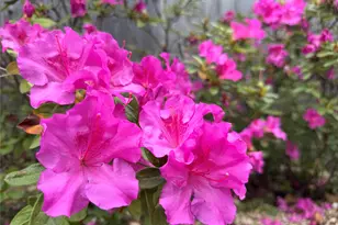 2210 Onion Creek Pkwy, Austin, TX 78747 - Photo 24