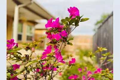 2210 Onion Creek Parkway #1404, Austin, TX 78747 - Photo 18