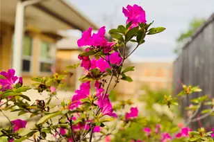 2210 Onion Creek Pkwy, Austin, TX 78747 - Photo 18