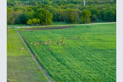 4503 Fm 1715, Lampasas, TX 76550 - Photo 26