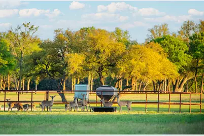 4503 Fm 1715, Lampasas, TX 76550 - Photo 24