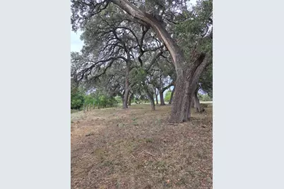 317 River Cliff Place, Spring Branch, TX 78070 - Photo 12