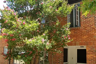 3206 Tom Green St, Austin, TX 78705 - Photo 10