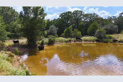 Tbd St Delight Rd (Tracts 8 & 13), Paige, TX 78659 - Photo 8