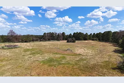 Tbd St Delight Rd (Tracts 8 & 13), Paige, TX 78659 - Photo 12
