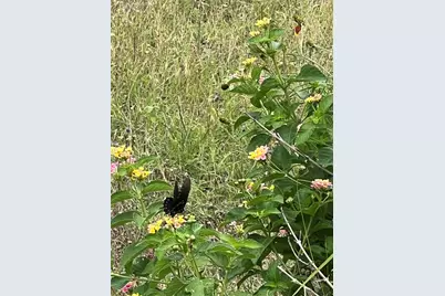 259 Blanco Drive, Wimberley, TX 78676 - Photo 20