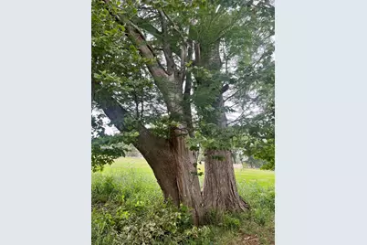 259 Blanco Drive, Wimberley, TX 78676 - Photo 22
