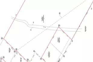 15209 Jacobson Rd, Del Valle, TX 78617 - Photo 4