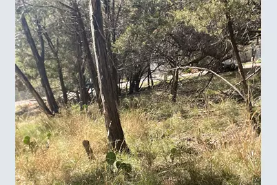 301 Augusta Cove, Lago Vista, TX 78645 - Photo 4