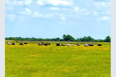 Tbd Tract 13 County Road 210, Eagle Lake, TX 77434 - Photo 8