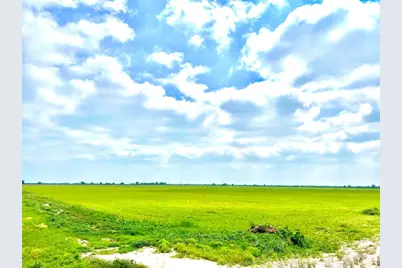 Tbd Tract 13 County Road 210, Eagle Lake, TX 77434 - Photo 6