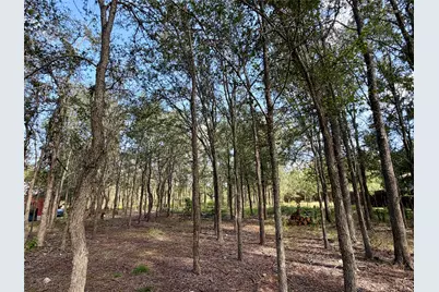 208 Waipahoehoe Drive, Bastrop, TX 78602 - Photo 4