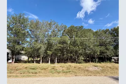 208 Waipahoehoe Drive, Bastrop, TX 78602 - Photo 2