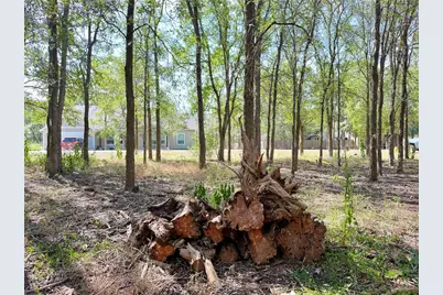 208 Waipahoehoe Drive, Bastrop, TX 78602 - Photo 8