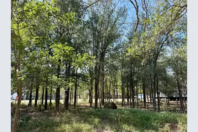 208 Waipahoehoe Drive, Bastrop, TX 78602 - Photo 6