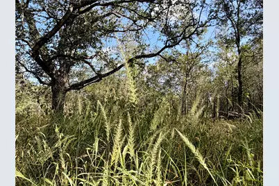 208 Waipahoehoe Drive, Bastrop, TX 78602 - Photo 12