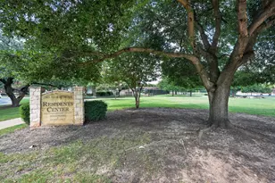 2976 Agave Loop, Round Rock, TX 78681 - Photo 40