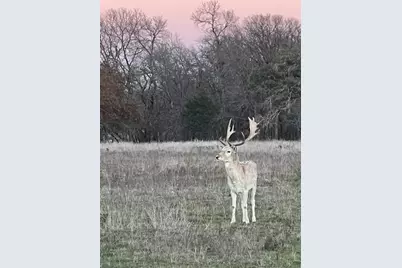 2265 County Road 106, Purmela, TX 76566 - Photo 34