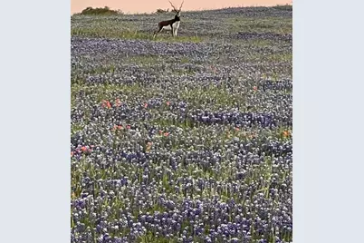 2265 County Road 106, Purmela, TX 76566 - Photo 1