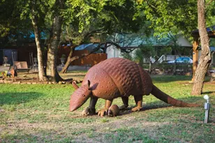 107-109 Scudder Ln, Wimberley, TX 78676 - Photo 38