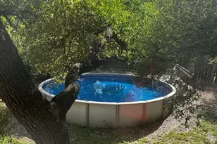 13202 Adonis Dr, Austin, TX 78729 - Photo 12