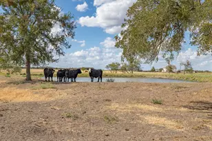 1801 Co Rd 470, Coupland, TX 78615 - Photo 30