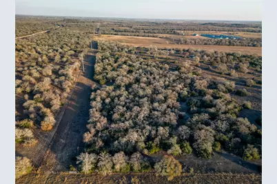 000 Sandy Pine Road, Luling, TX 78648 - Photo 8