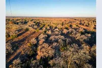 000 Sandy Pine Road, Luling, TX 78648 - Photo 16