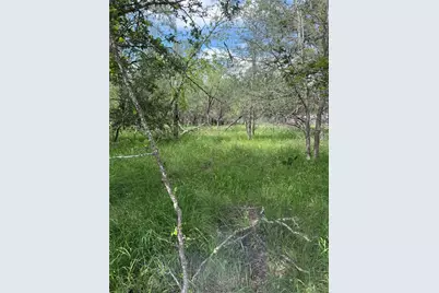 Lot 200 Nene Lane, Bastrop, TX 78602 - Photo 1