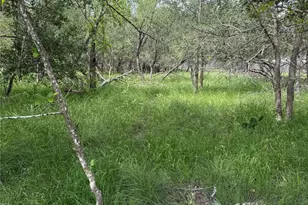 Lot 200 Nene Ln, Bastrop, TX 78602 - Photo 1