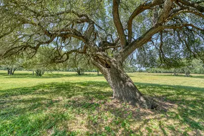 1498 Elmer King Road, Belton, TX 76513 - Photo 12