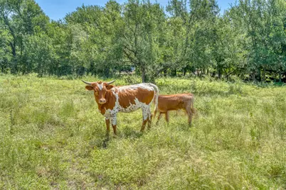 1498 Elmer King Road, Belton, TX 76513 - Photo 18
